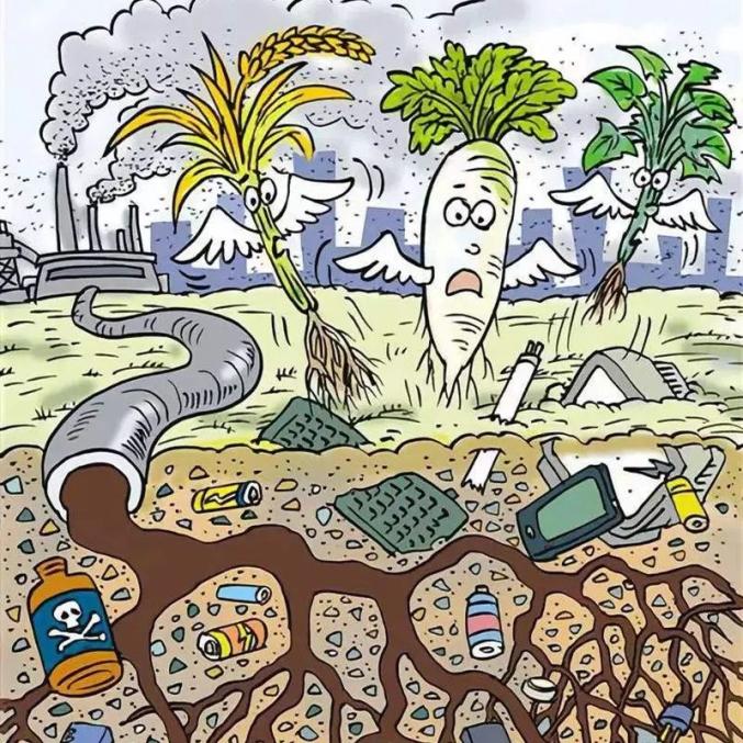垃圾不分類的危害你了解嗎？